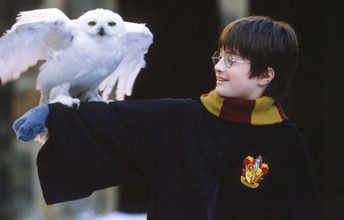 Harry-Potter_Daniel-Radcliffe_02