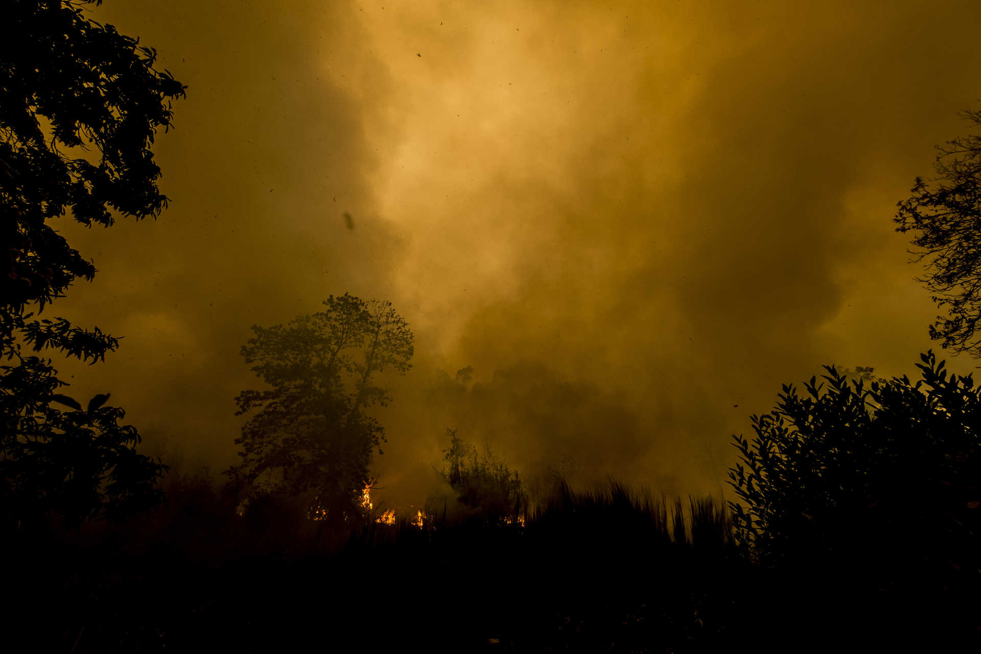 Rasto de destruição do incêndio que lavrou esta noite em Vouzela, até ao momento esta tragedia vitimou 35 pessoas e deixou 56 feridos