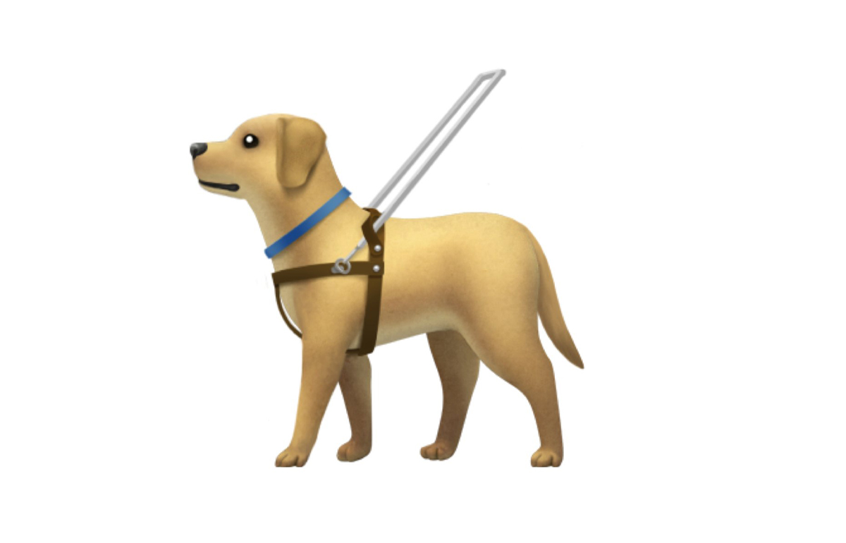 guide-dog-with-harness
