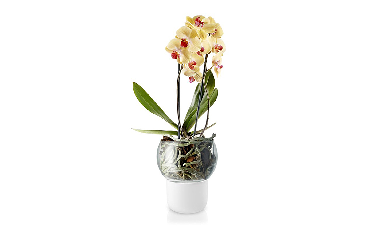 Eva-Solo—Vaso-para-orquídeas-15cm-pvp-42_70-inexistencia