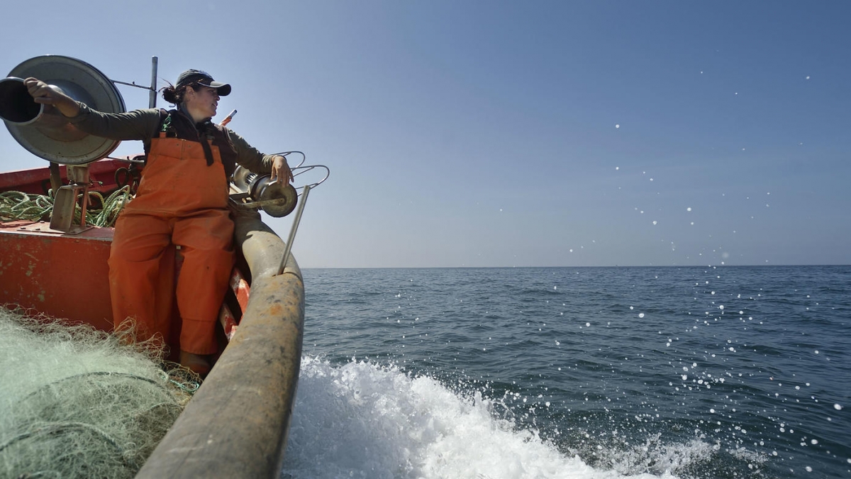 Mulheres-arrais, as pescadeiras com o dever do mar imagem