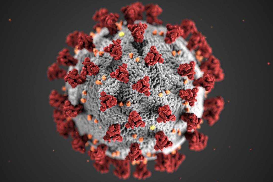 covid-19-coronavirus-covid-cell-pandemic-corona-virus-1608796-pxhere
