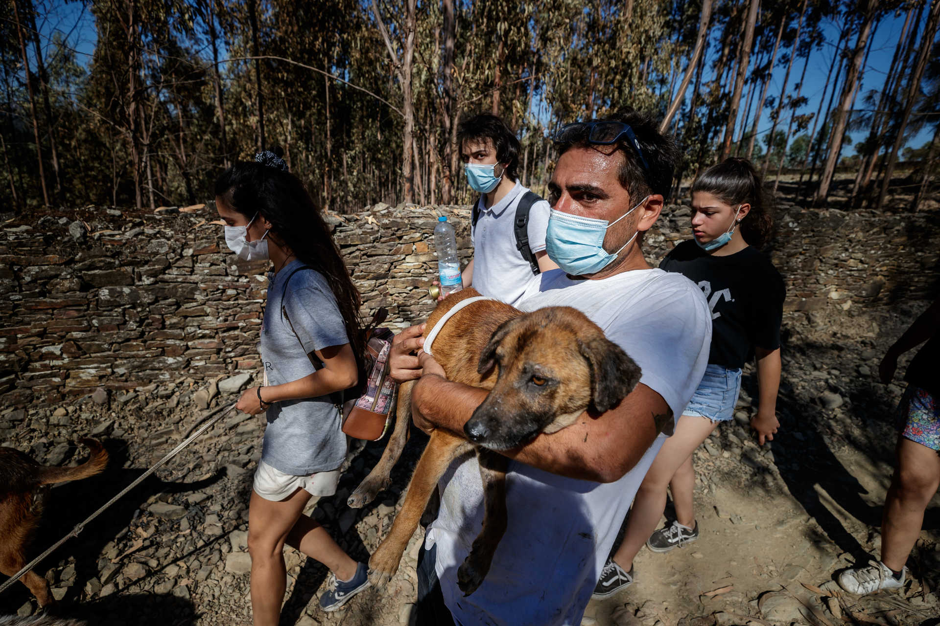 Populares salvam animais apos Incêndio em Abrigo animal de Santo Tirso