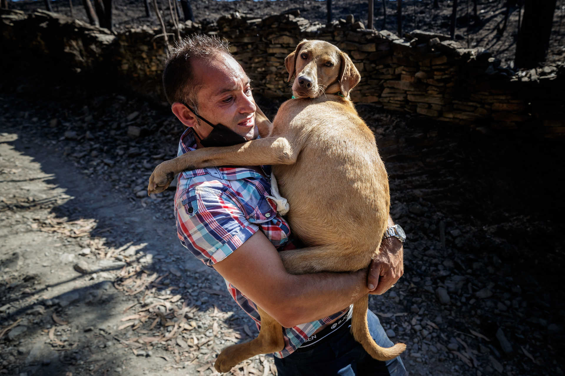 Populares salvam animais apos Incêndio em Abrigo animal de Santo Tirso